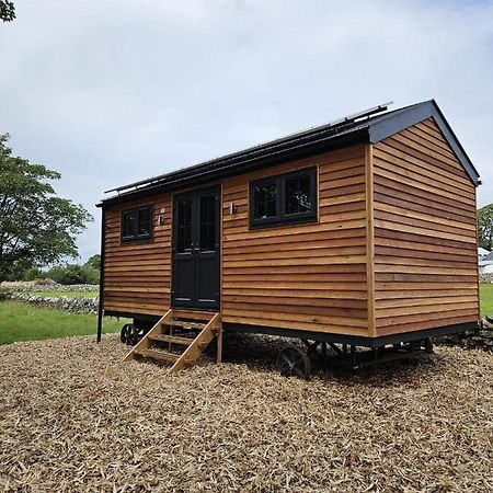Woodland Shepherds Hut - 'Saga' Caernarfon Eksteriør bilde