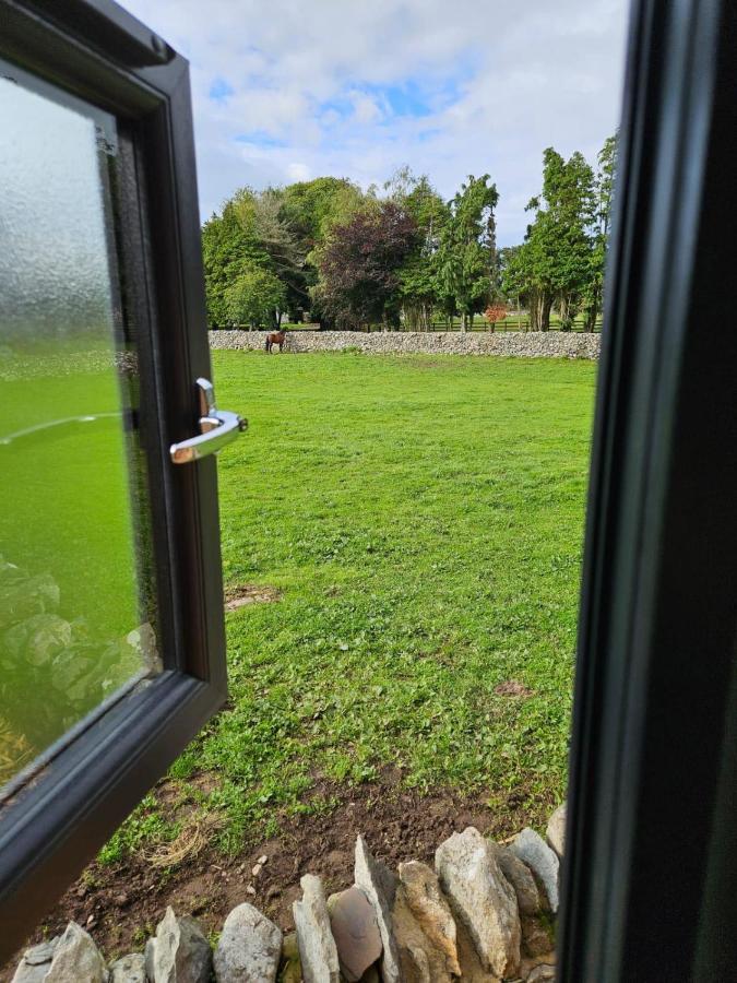 Woodland Shepherds Hut - 'Saga' Caernarfon Eksteriør bilde