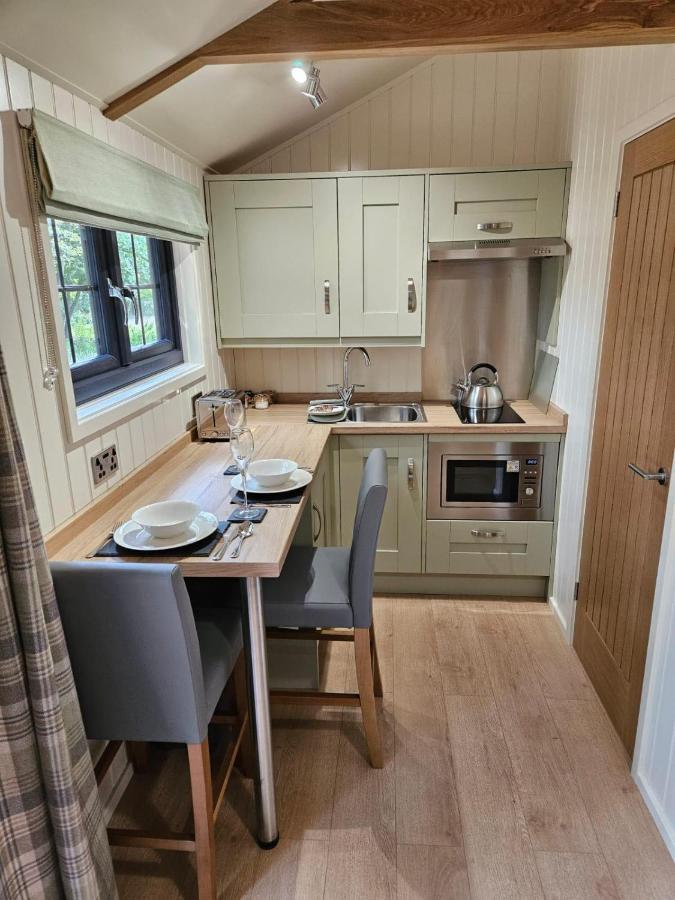 Woodland Shepherds Hut - 'Saga' Caernarfon Eksteriør bilde