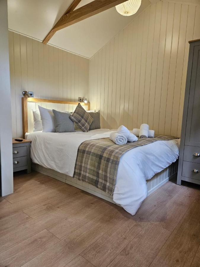 Woodland Shepherds Hut - 'Saga' Caernarfon Eksteriør bilde