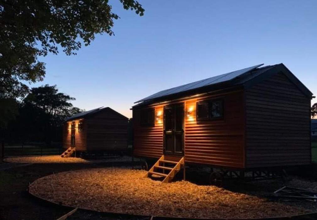 Woodland Shepherds Hut - 'Saga' Caernarfon Eksteriør bilde